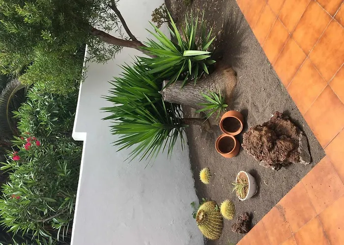 Con Jardin Y Piscina B Daire Puerto de la Cruz (Tenerife)